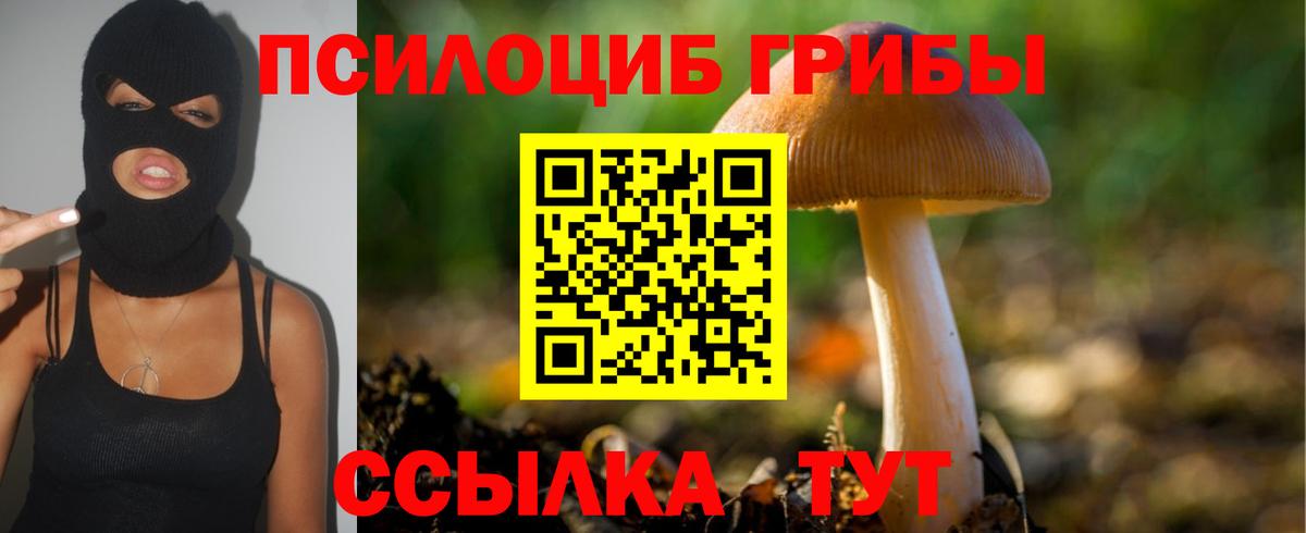 Галлюциногенные грибы Cubensis Среднеуральск